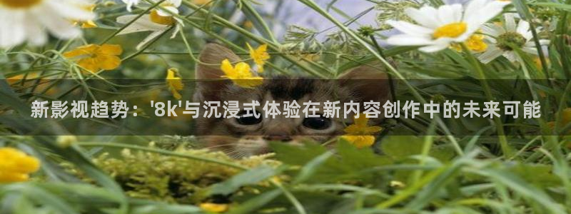 麥田影視官網(wǎng)下載：新影視趨勢：\'8k\'與沉浸式體驗(yàn)在新內(nèi)容創(chuàng)作中的未來可能