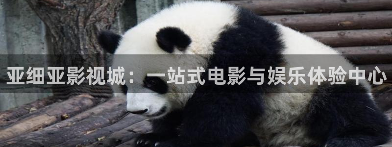 麥田影院官網(wǎng)入口：亞細(xì)亞影視城：一站式電影與娛樂體驗(yàn)中心
